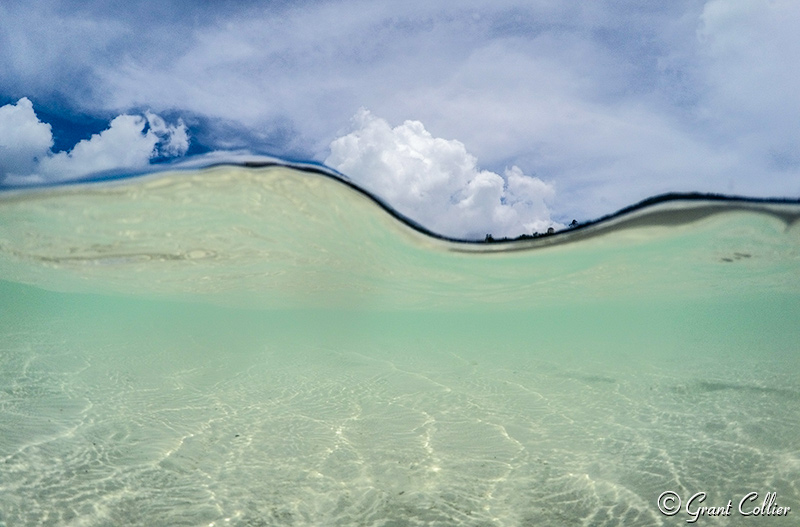 Artistic Underwater Photo