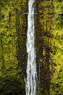 Hawaii Waterfalls, Akaka Falls, island