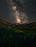 Milky Way over Colorado Wildflowers