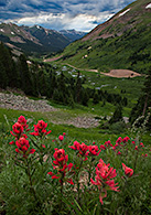 Argentine Trail above Peru Creek