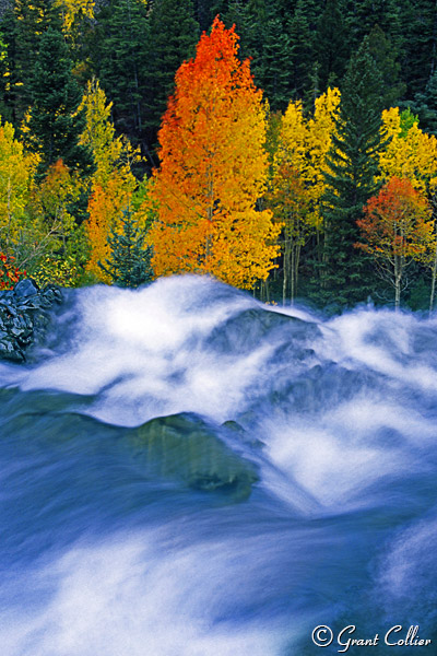 Colorado waterfalls, aspen trees, San Juan Mountains