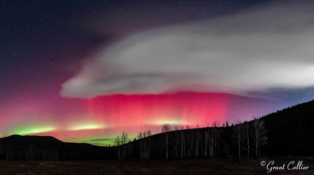 Aurora Borealis over Evergreen, Colorado