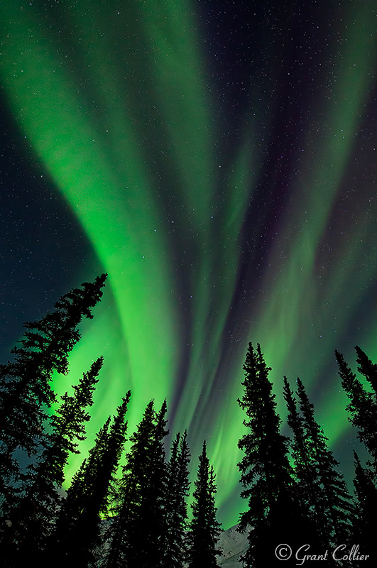 Northern Lights, Wiseman Alaska