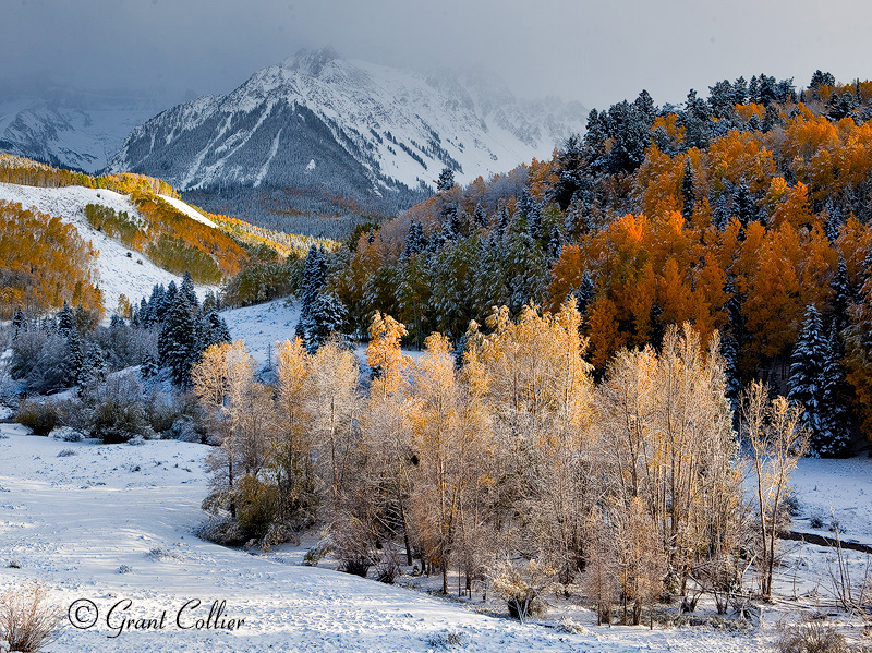 Snow along the Dallas Divide