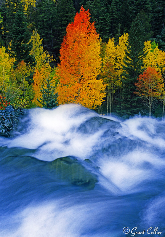 Waterfall, San Juan Mountains, fall aspen, Colorado