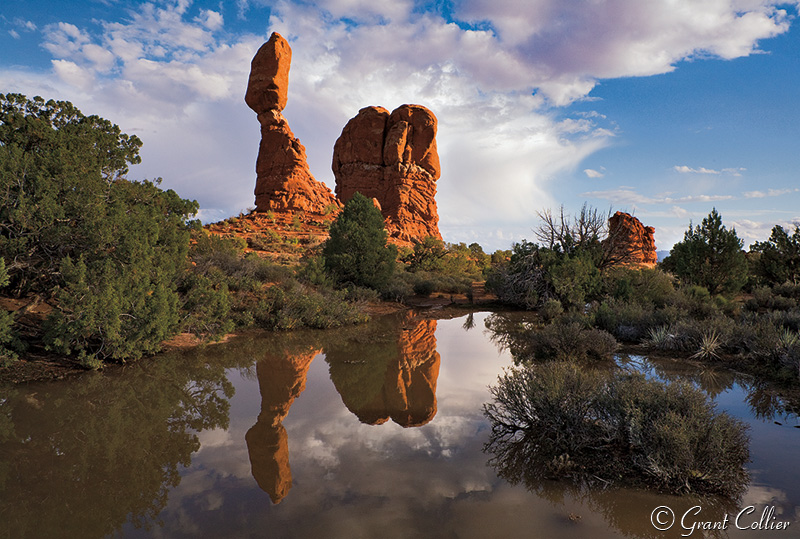 Balanced Rock reflection, Arches National Park, puddles, ponds