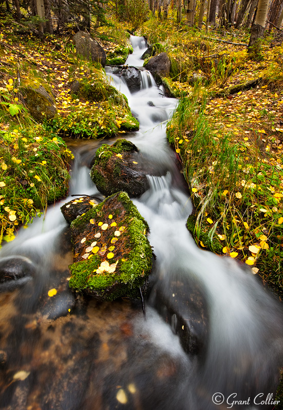 Boulder Brook, RMNP, autumn, fall colors