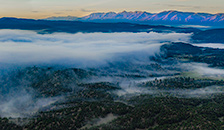 Fog hovering over Browns Canyon National Monument