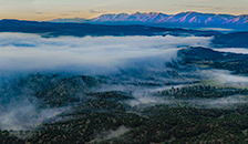 Fog hovering over Browns Canyon National Monument