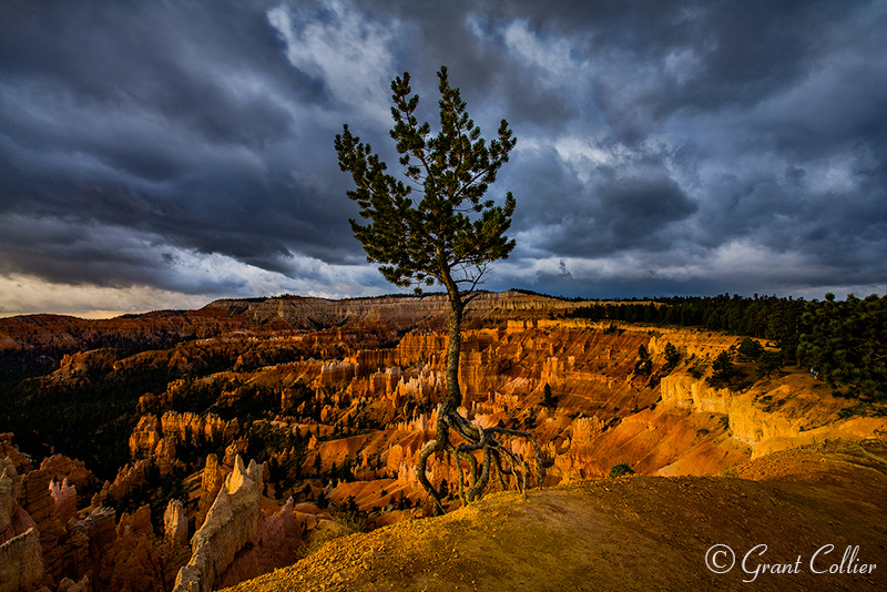 Dramatic Clouds over Bryce Canyon