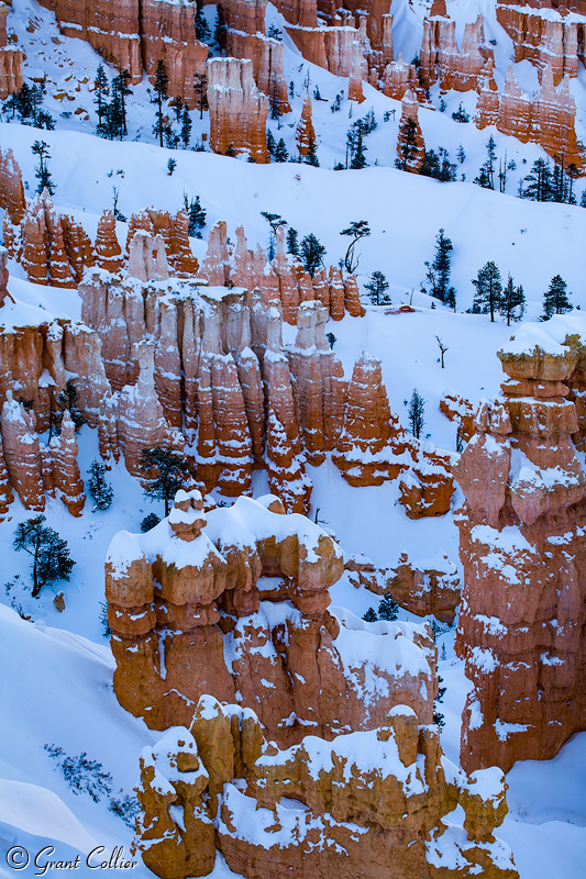 Bryce Canyon winter