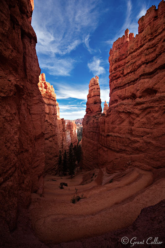 Wall Street, Navajo Loop Trail, Bryce Canyon, Utah