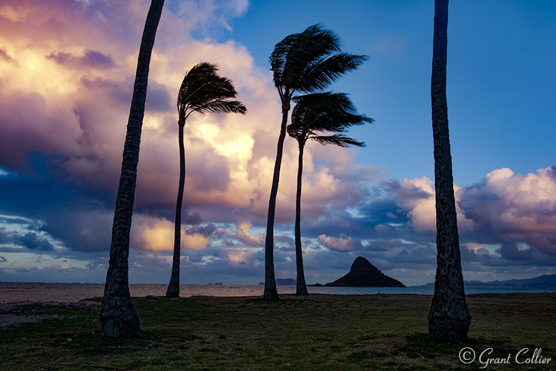 Chinaman's Hat, Pacific Ocean, Hawaii palm trees