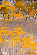 Red Mountain Pass