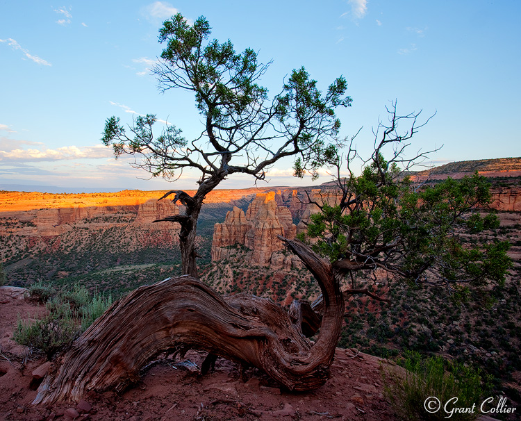 Colorado National Monument, Canyon Rim Trail