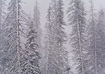 Wolf Creek Pass, Colorado Blizzard