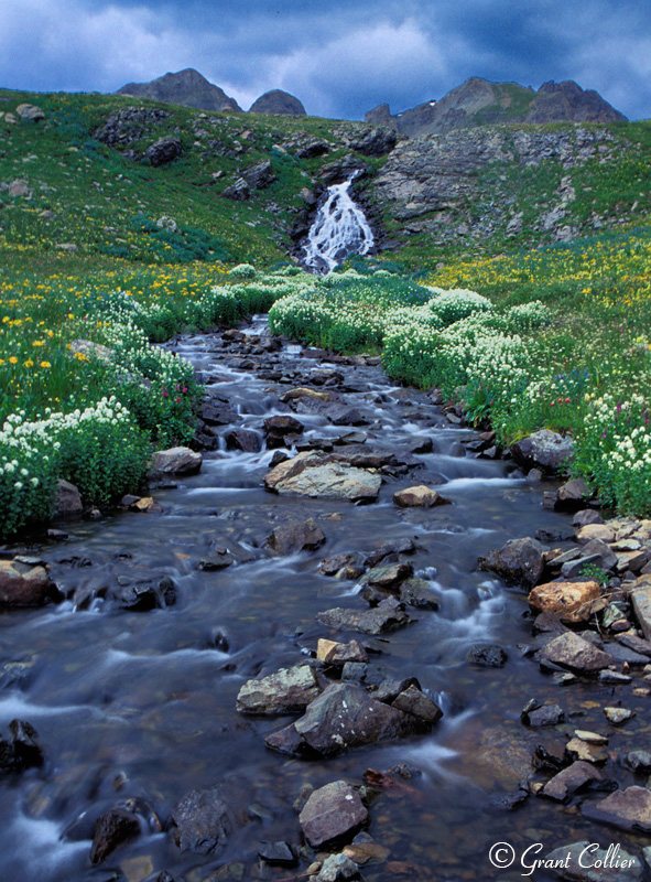 Colorado Waterfalls, wildflowers, creek