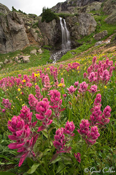 Colorado waterfalls, Rocky Mountains, wildflowers