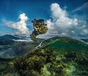 Under / Over Water Shot, Cook Islands