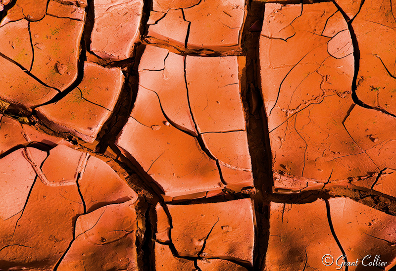 cracked mud, patterns, Courthouse Wash