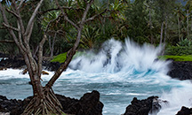 Waves Crashing to Shore in Maui