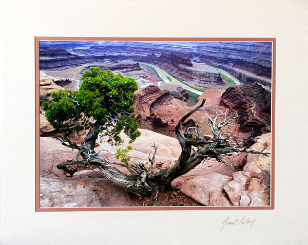 Dead Horse Point