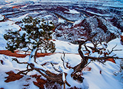 Deadhorse Point after snowstorm.