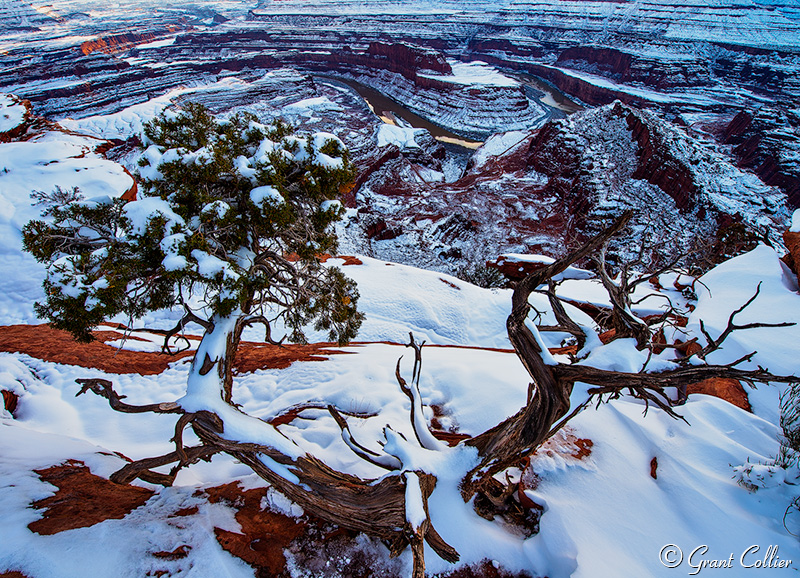 Dead Horse Point in Winter, near Moab, Utah