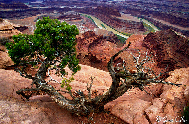 Dead Horse Point, Colorado River, Moab, Utah