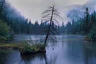 Lizard Lake, foggy