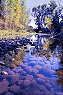 Pond near Gunnison River, Almont, Lake