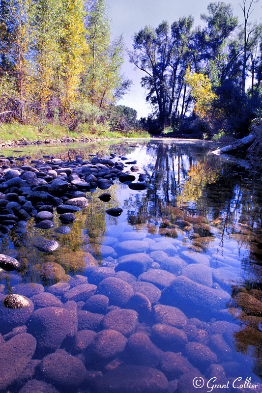 Pond near Gunnison River, Almont, Colorado, Lake