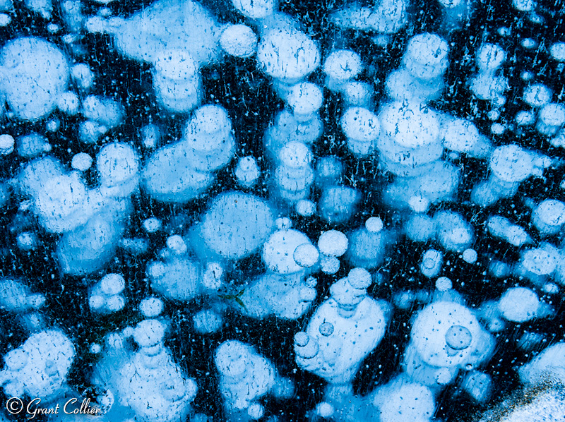 Ice Bubbles in Georgetown Lake, Colorado