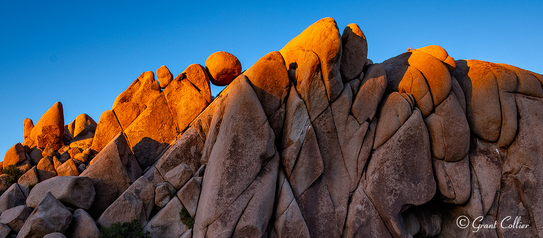 The boulder at Joshua Tree National Park in California, which are illuminated by the setting sun, form fascinating shapes.
