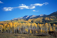 Kebler Pass, aspen trees, mountains