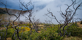 La Sal Mountains, Moab.