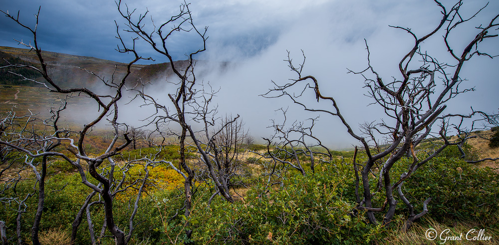 La Sal Mountains, Moab.