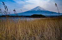 Lake Kawaguchi, Mount Fuji