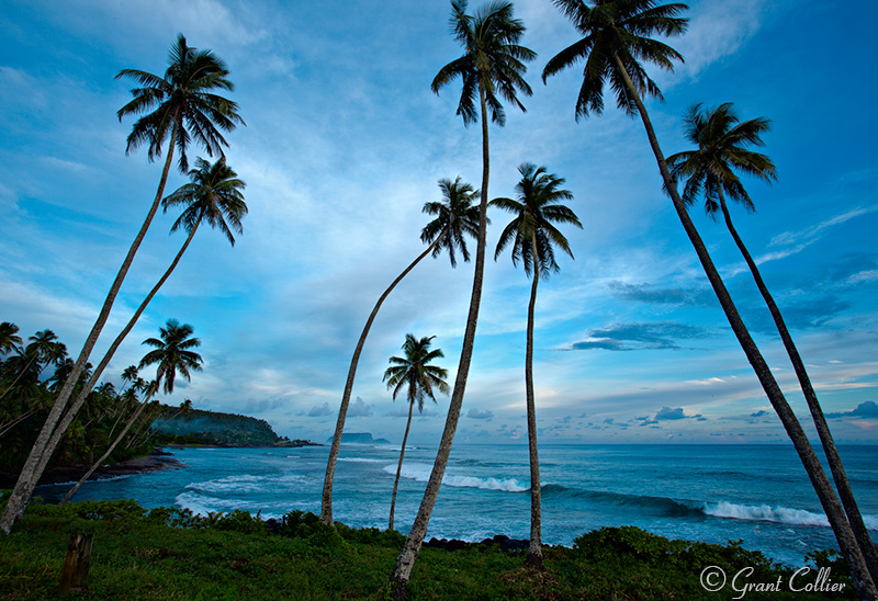 Western Samoa, palm trees, Pacific Ocean beach