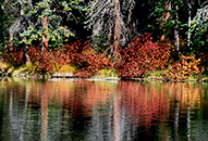 Fall Reflection