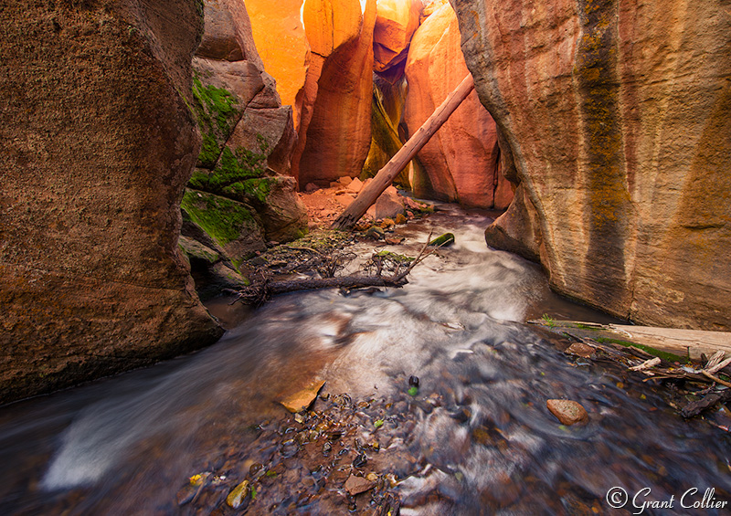 Slot canyon in the La Sal Mountains