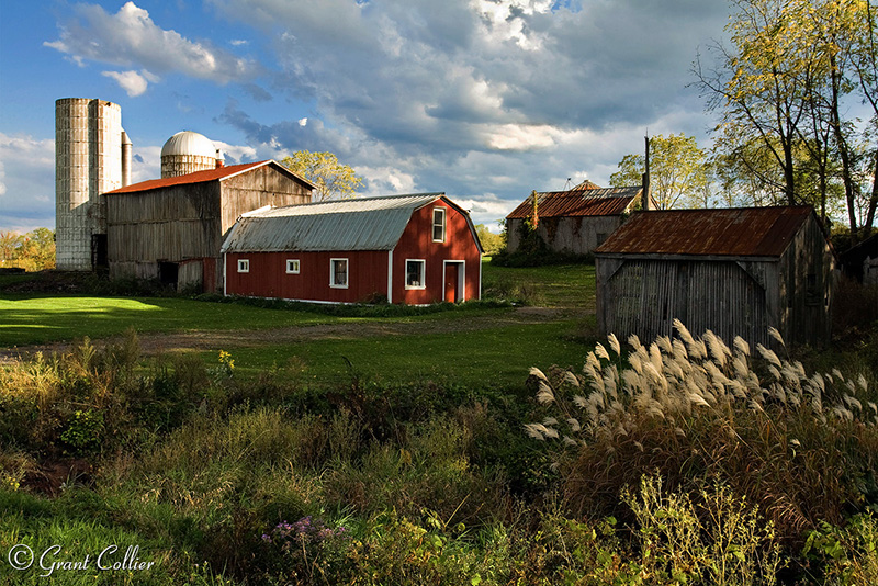New York Farm, barns, rural scenes, silo