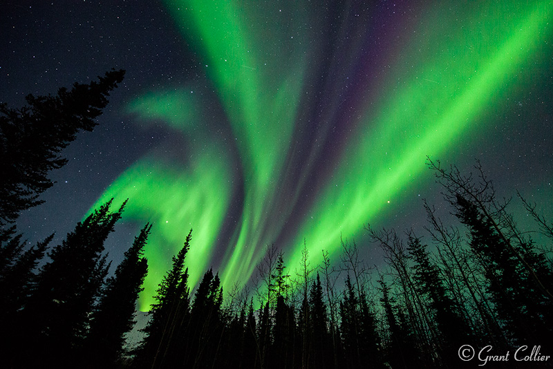 Wiseman, Alaska, Photography of the Northern Lights