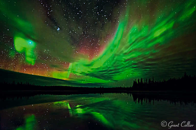 Canadian Northern Lights by professional photographer