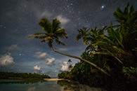 Stars over Palm Trees, Cook Islands