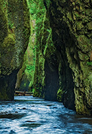 Oneonta River, gorge, Oregon