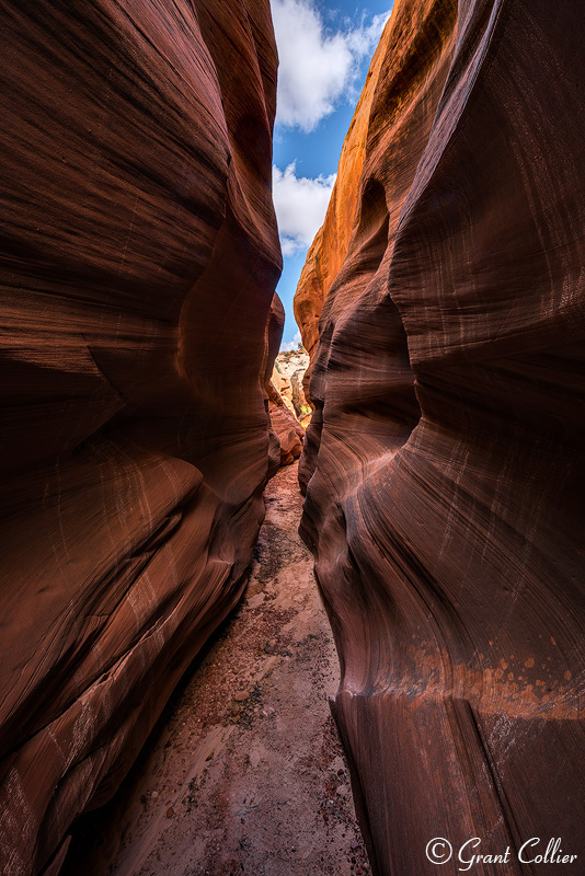 Slot canyon near Robbers Roost in Utah