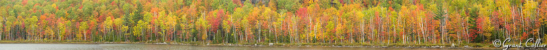 Round Pond, Dix Wilderness, Adirondacks Mountains