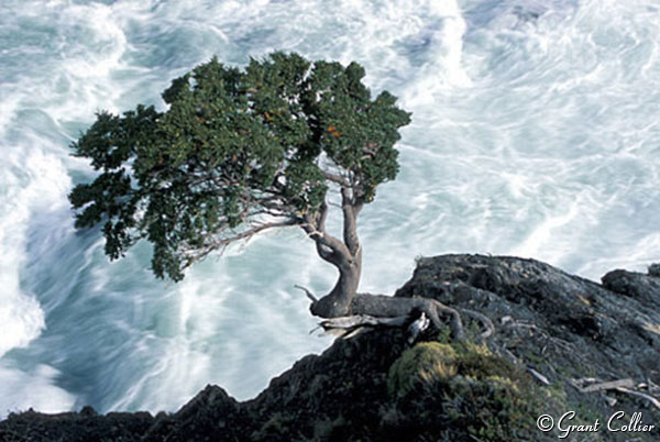 Salto Grande, Chile, Rio Paine, Torres del Paine