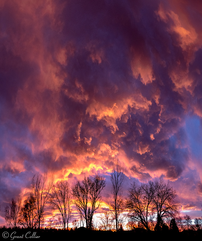 Amazon Colorado Sunset